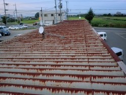 既存の屋根