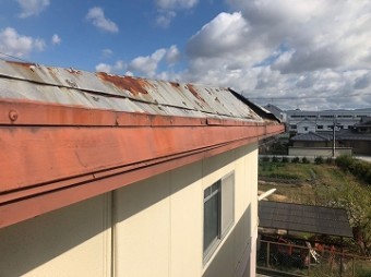 鼻隠し板