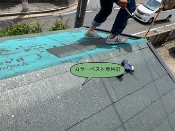 カラーベスト固定