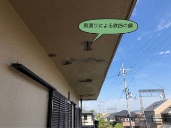 雨漏り箇所