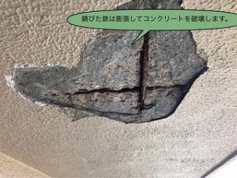 露筋