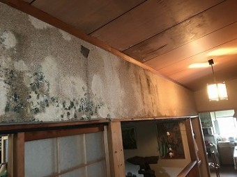 雨漏り箇所