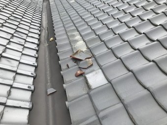 瓦の応急処置後