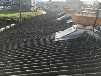 屋根の全体写真