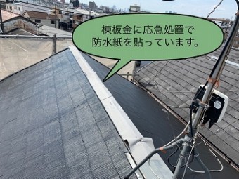 既存の棟板金