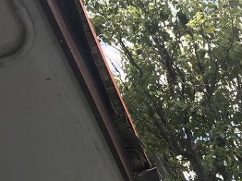 木材の腐食