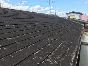 汚れやコケが繁殖した屋根