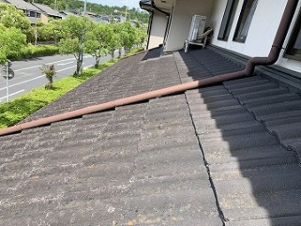 施工前の屋根