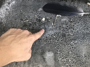 塗膜の膨れ