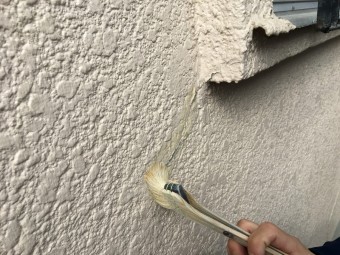 逆プライマー