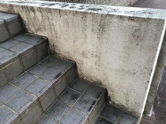 塀の汚れ
