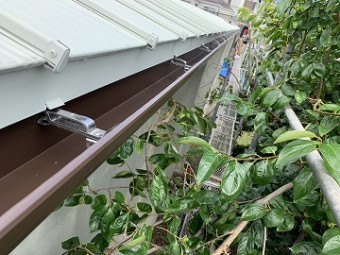 トユ受け