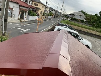 仕上がった屋根