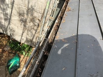 落ち葉撤去後