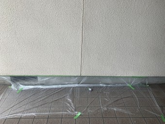 養生