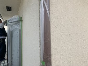 養生