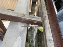 IMG_2364-1-columns3