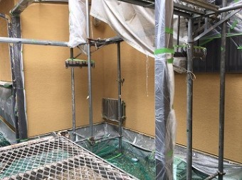 トップコート塗装後