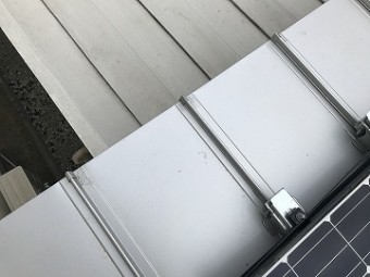鼻先部分
