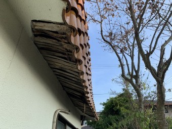 軒天井