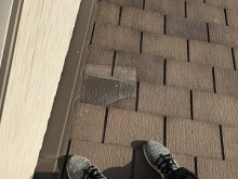 瓦の損傷