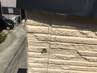 外壁塗装の見積もり