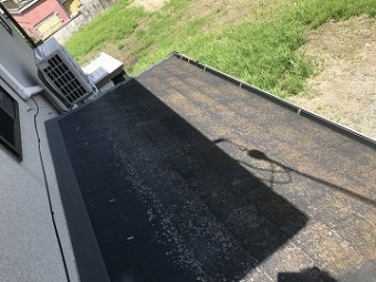 下屋根コケ