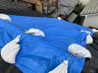 雨養生