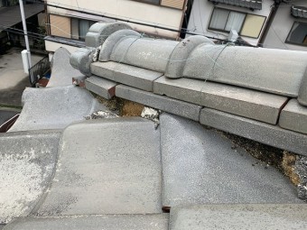土が剥き出し