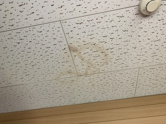 天井の雨染み