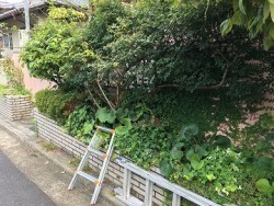 施工前塀