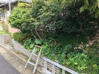 施工前塀