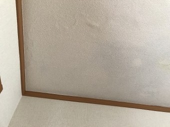 雨染み部分