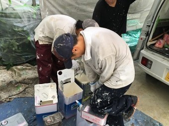 塗料の稀釈