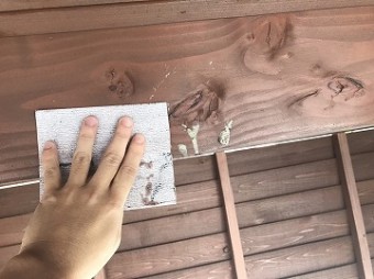 ツバメの巣