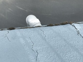 笠置の劣化状態