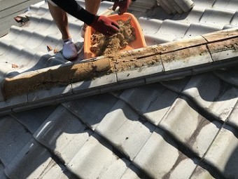 かんぶりの中の土撤去
