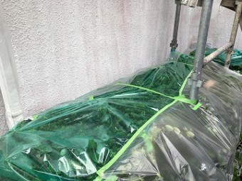 植木養生