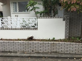 塀施工後