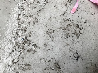 防水層劣化
