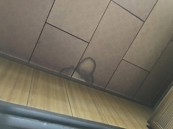 雨漏り部分