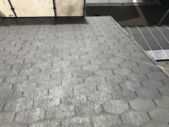 シーラー塗布後