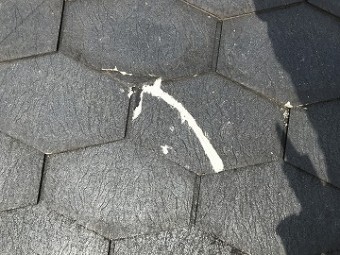 瓦の欠けを密着