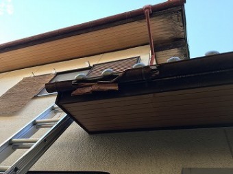 雨樋の劣化