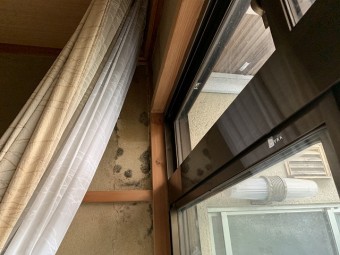 かびた内壁