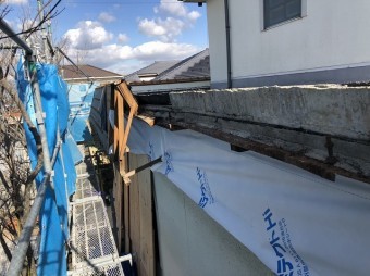 雨養生