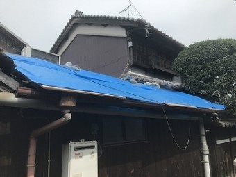 ブルーシート