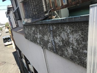 掻き落としの外壁