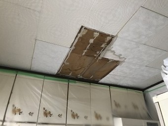 天井の化粧ボード