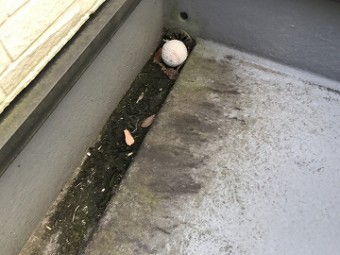 防水の様子